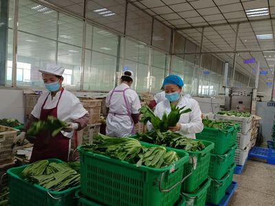 桐梓 多重守護 保障學(xué)生“舌尖上”的安全
