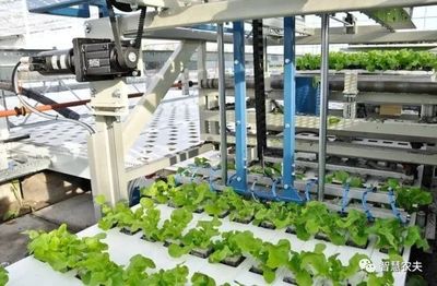 從田園到云端 當無人種植技術跨越邊界，改寫茶葉的未來